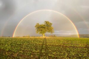 Rainbow Dream Meaning