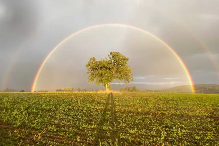 seeing-rainbows-www-ase-uk