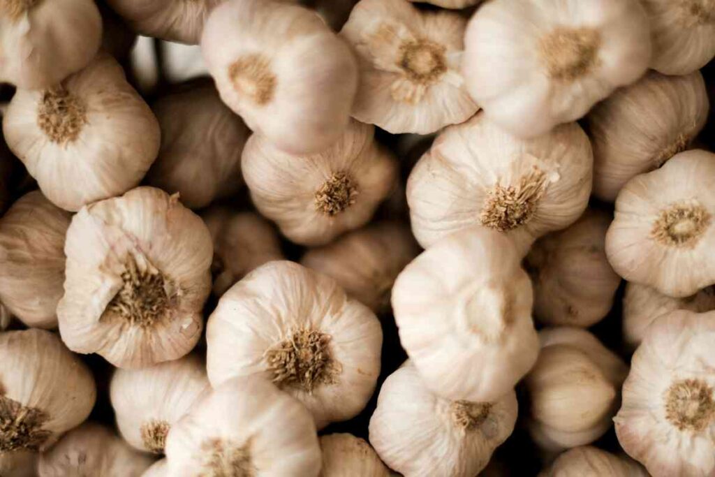 Biblical Meaning Of Garlic In A Dream