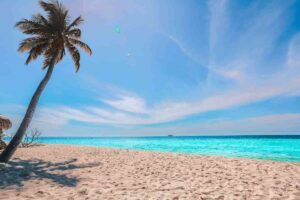 14 Common Dream About Beach