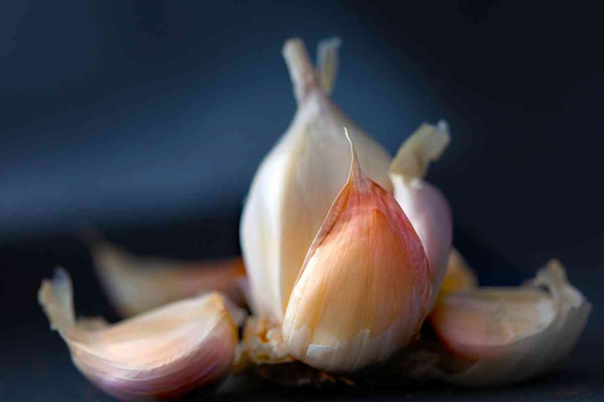 Dream About Garlic